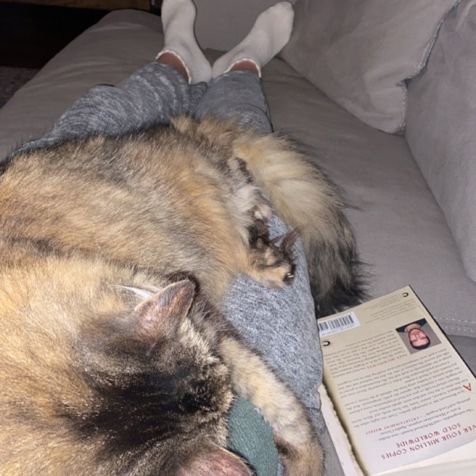 Genuine Care For Your Kitty photo 3