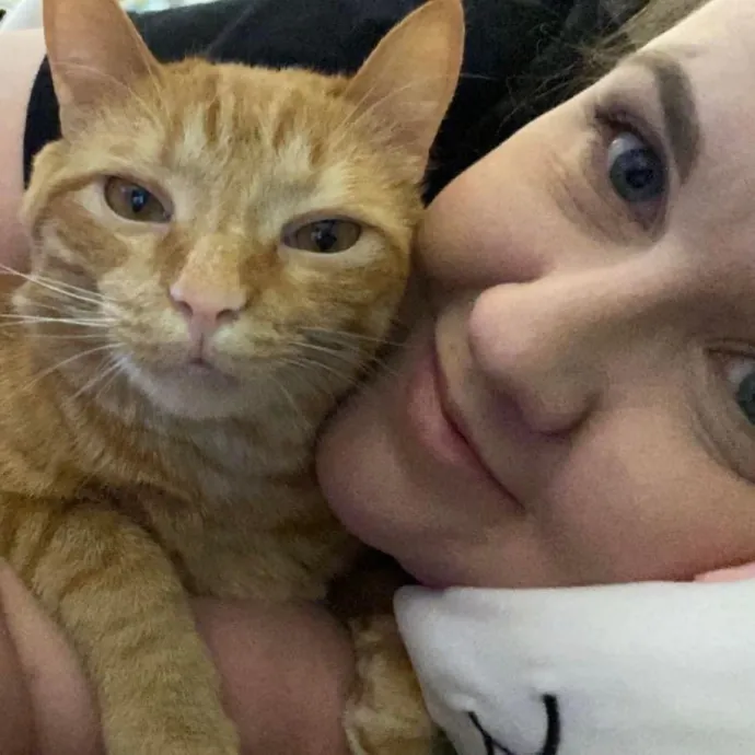 Purrfect Cat Sitter photo 4