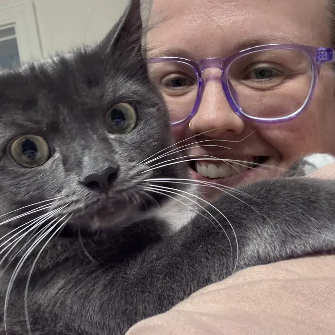 Purrfect Cat Sitter photo 3