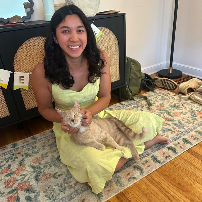 Cat Companion