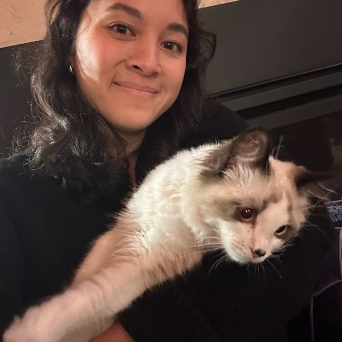 Cat Companion