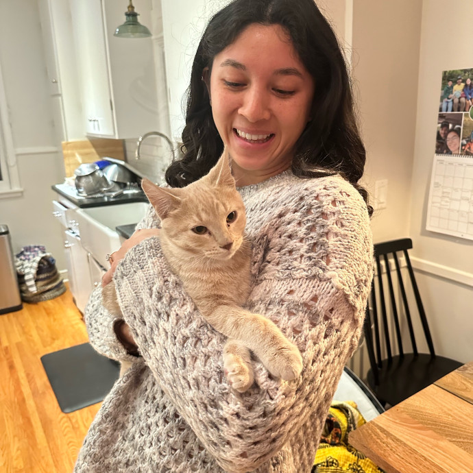 Cat Companion