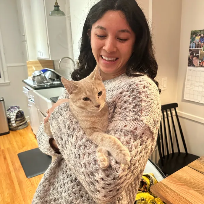 Cat Companion