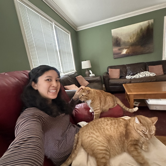 Cat Companion