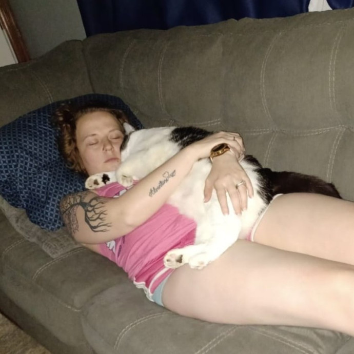 From Purrs To Insulin I've Got It
