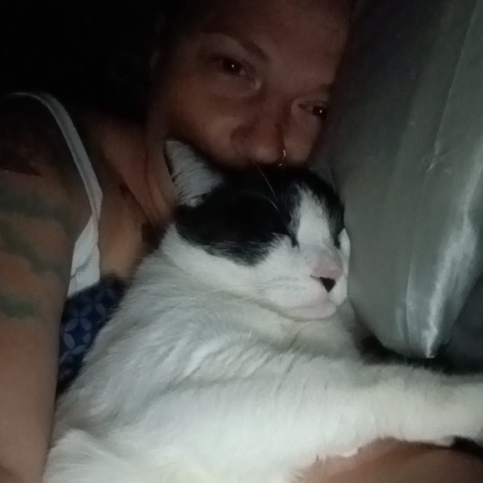 From Purrs To Insulin I've Got It