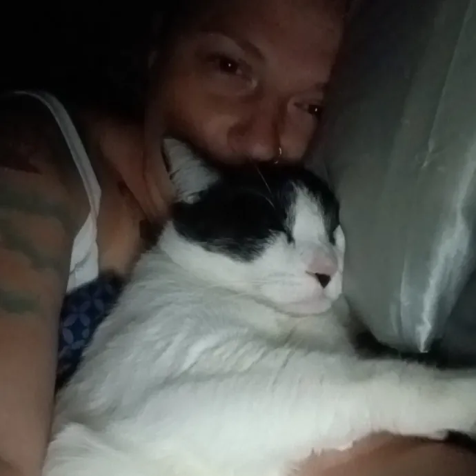 From Purrs To Insulin I've Got It