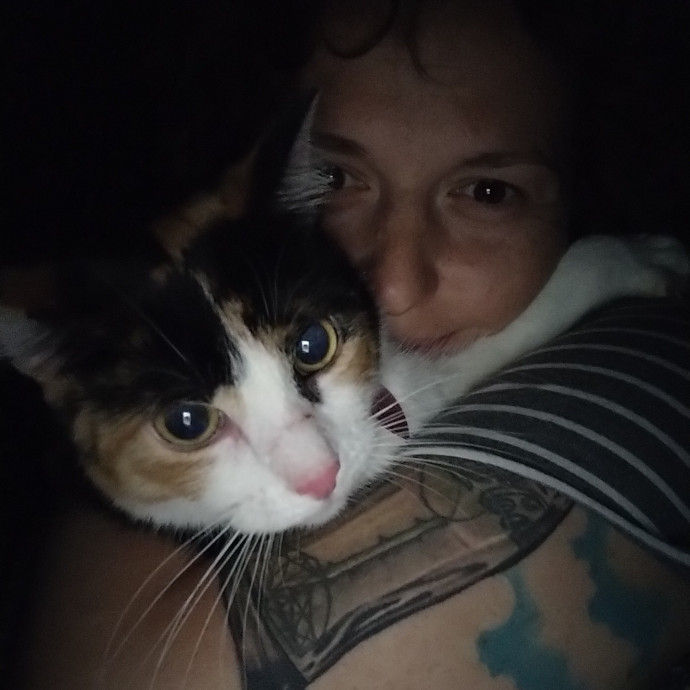 From Purrs To Insulin I've Got It