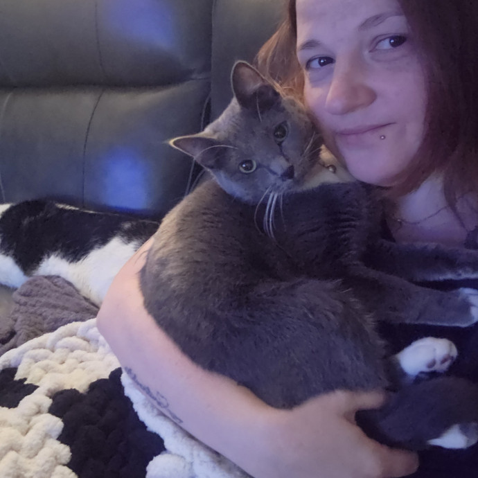 From Purrs To Insulin I've Got It photo 2