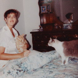 cats-img-3