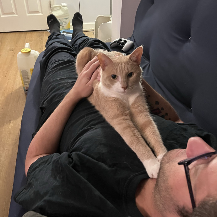 Veteran Catdad Services Available In Dc