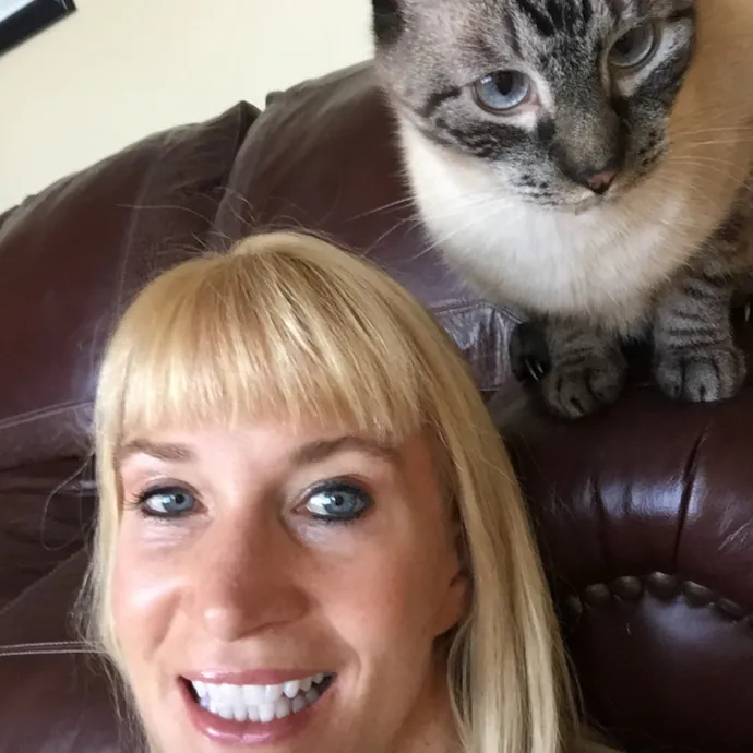Cats Are My Spirit Animals