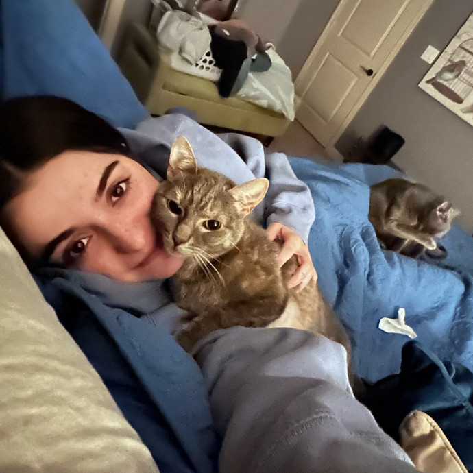 Your Kitty's Home Away From Home photo 3