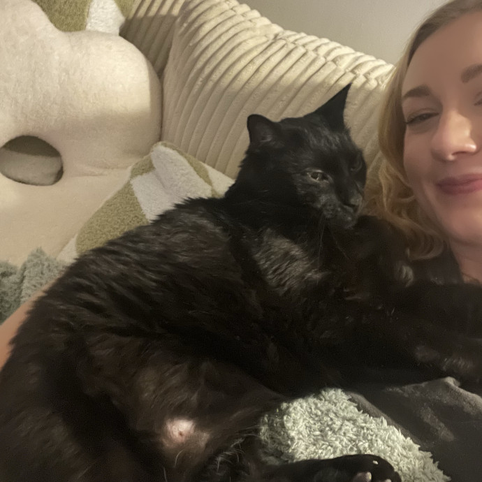 Reliable Loving Cat Care