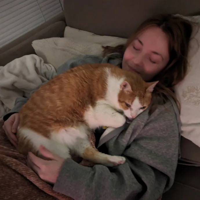 Lizzy's Kitty Care Lakeview