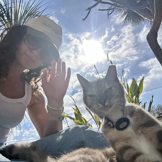 Loving Cat Sitter  Remote Dietitian
