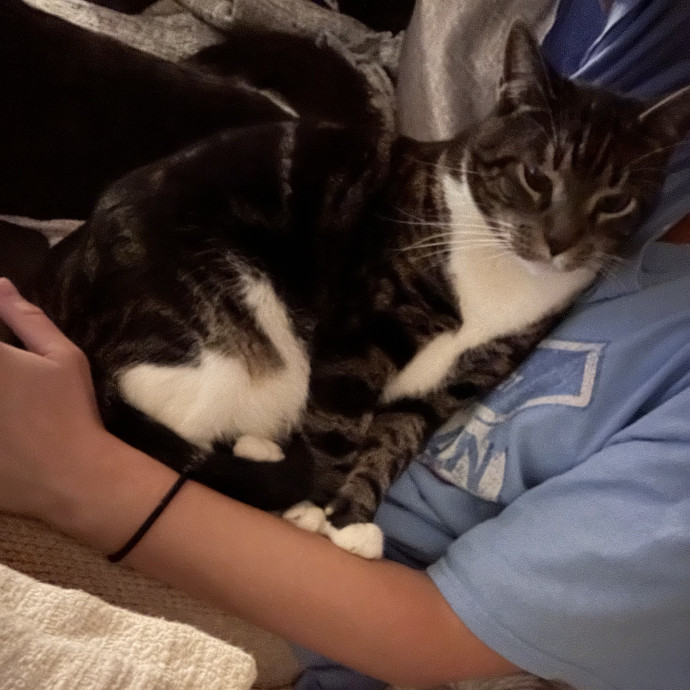 Peyton's Pets Paradise