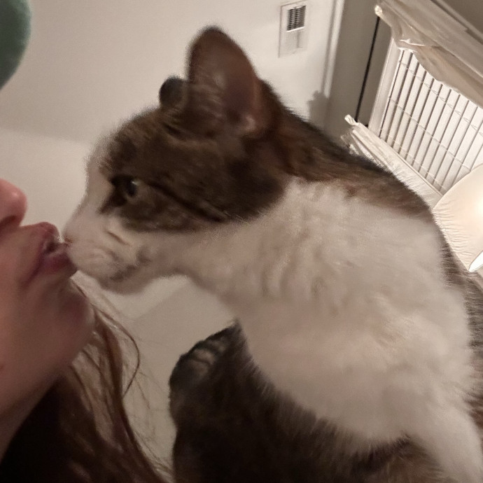 Peyton's Pets Paradise