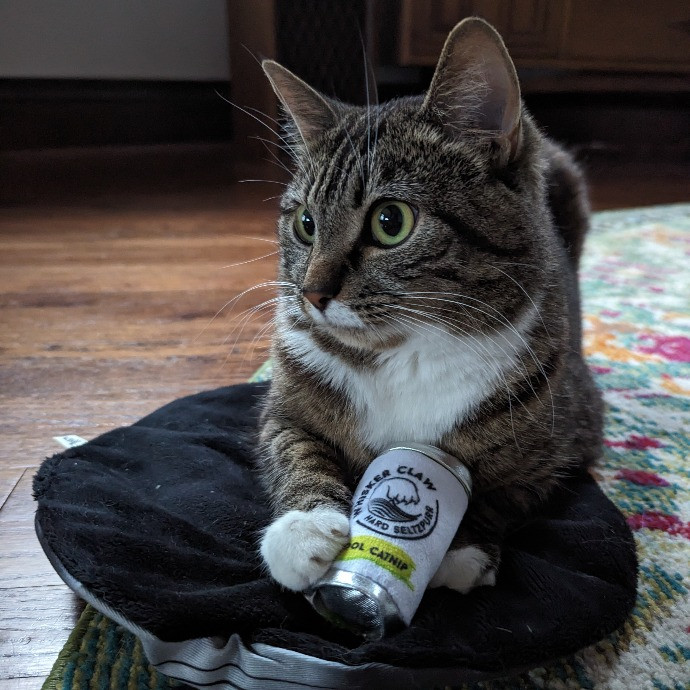 A Total Cat Purrson photo 2