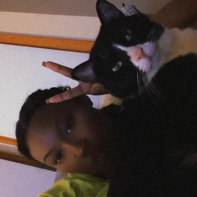 Tailored Tlc For Every Kitty
