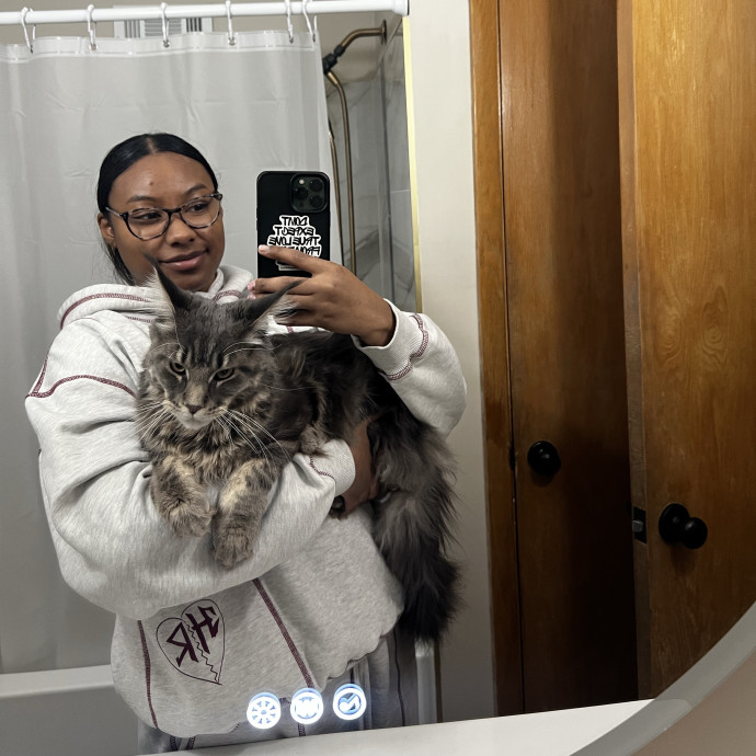 Tailored Tlc For Every Kitty