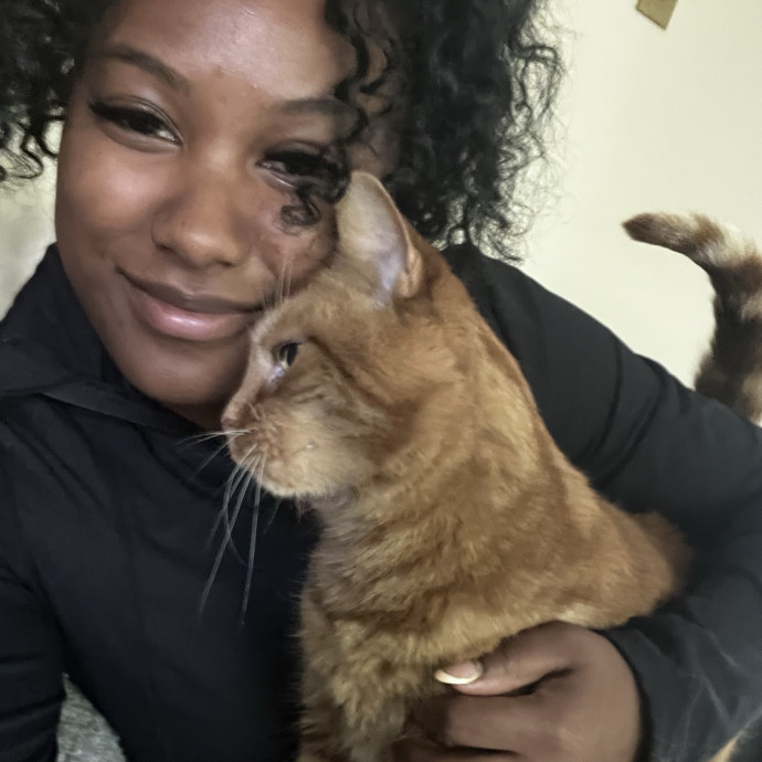 Tailored Tlc For Every Kitty photo 3