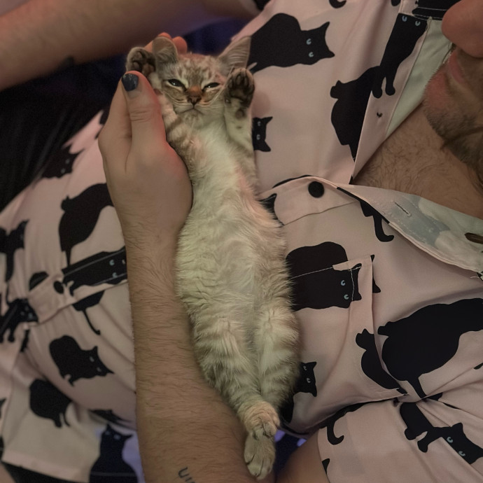 Gerardo's Pet Sitting Dfw