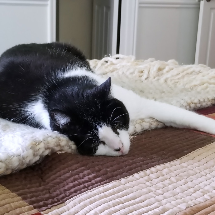 The Best Thing When You Aren't There