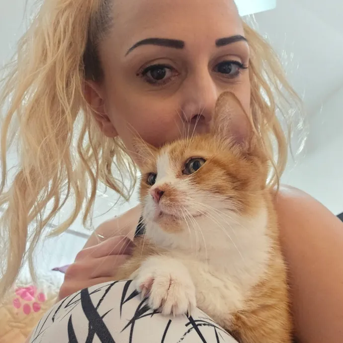 Holly's Lil Feets Cat Sitting