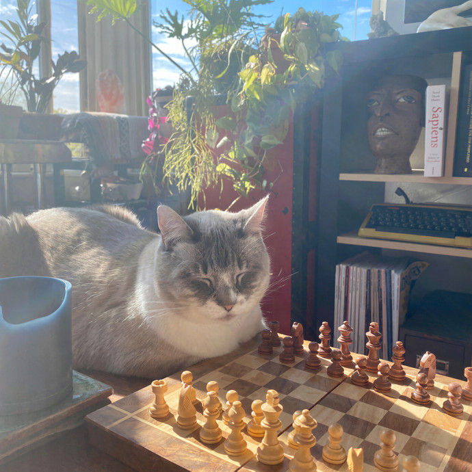 Mindful Purrfessional Care By Meg