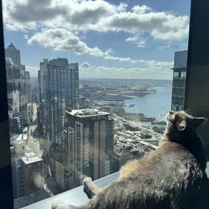 Mindful Purrfessional Care By Meg