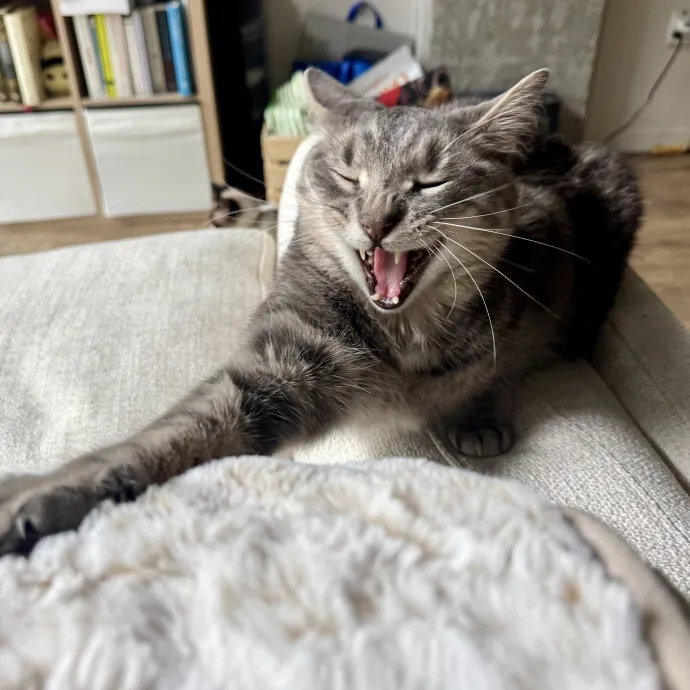 Meg F.