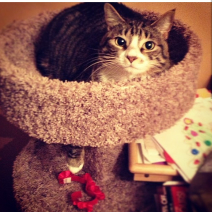 If It Fits It Sits photo 3