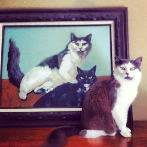 Tell Your Cat We Said Pspsps
