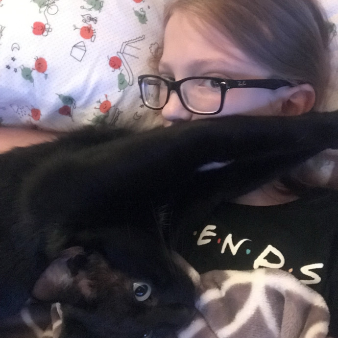 Your Friendly Neighborhood Catsitter