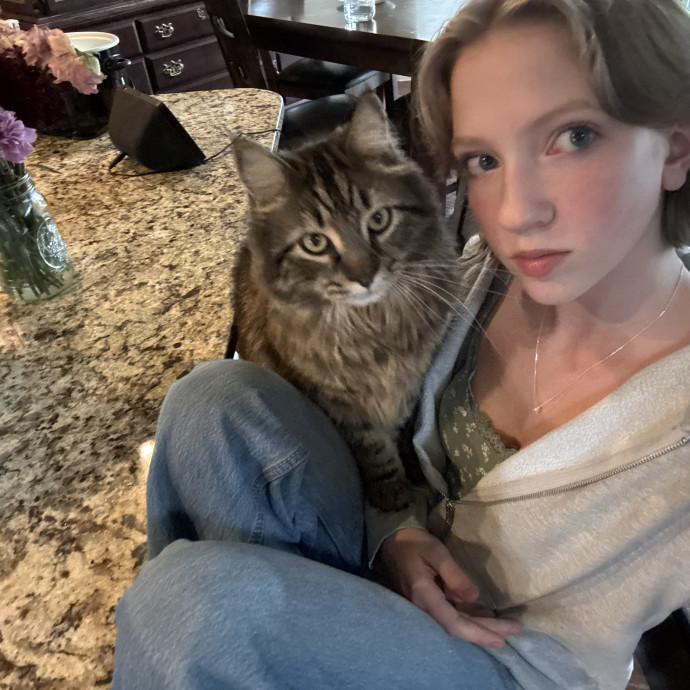 Your Friendly Neighborhood Catsitter photo 3
