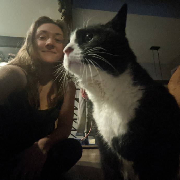 Caring For Cool Cats And Kittens