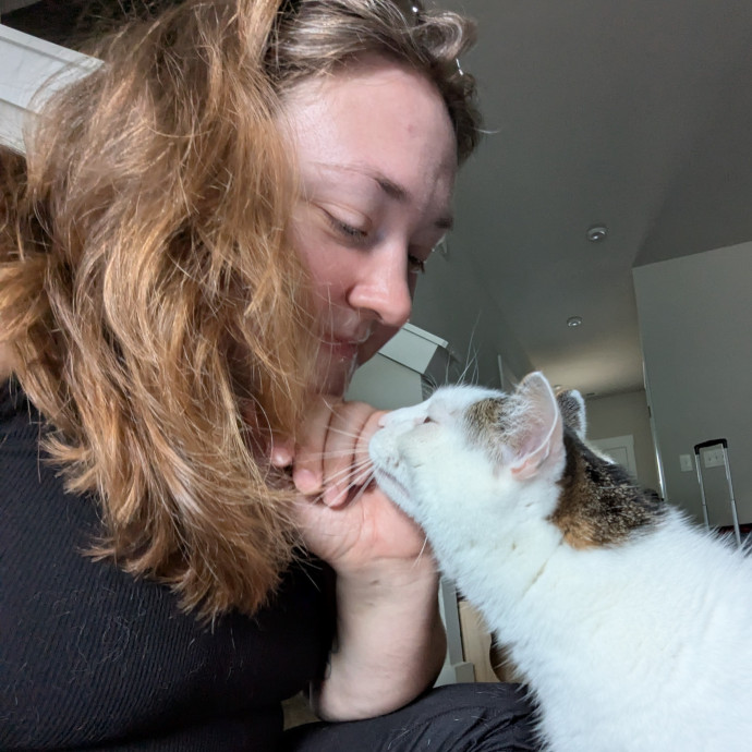 Caring For Cool Cats And Kittens