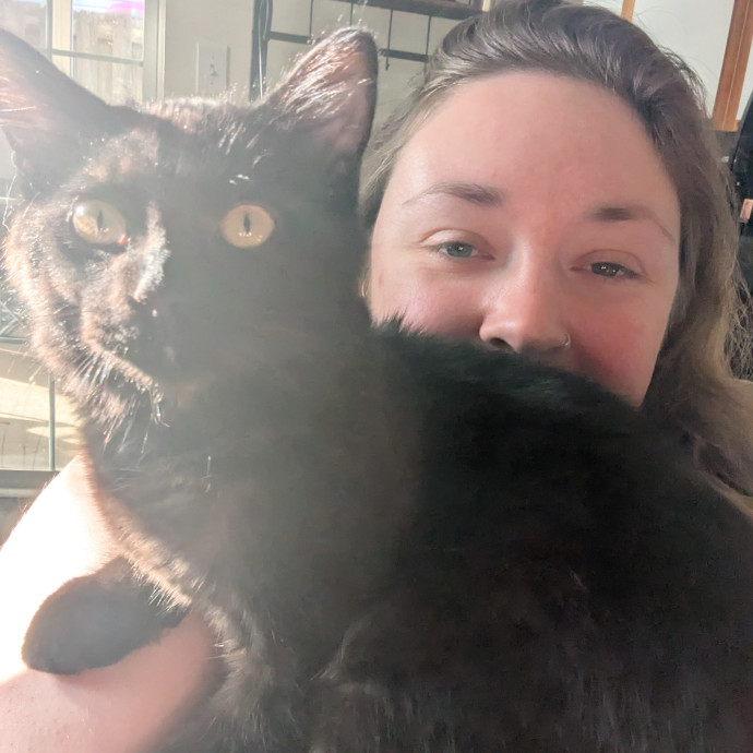 Caring For Cool Cats And Kittens