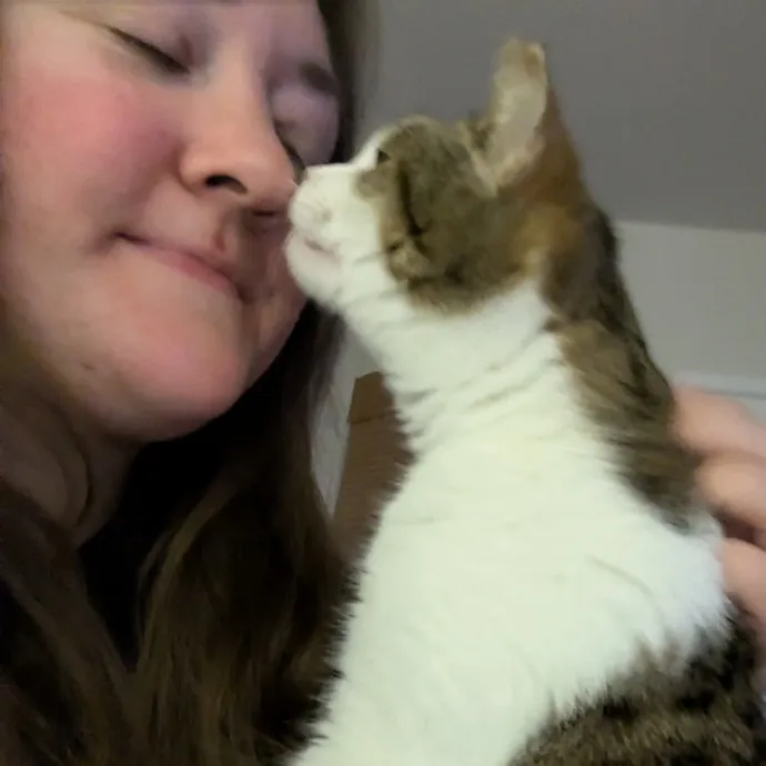 Caring For Cool Cats And Kittens photo 2