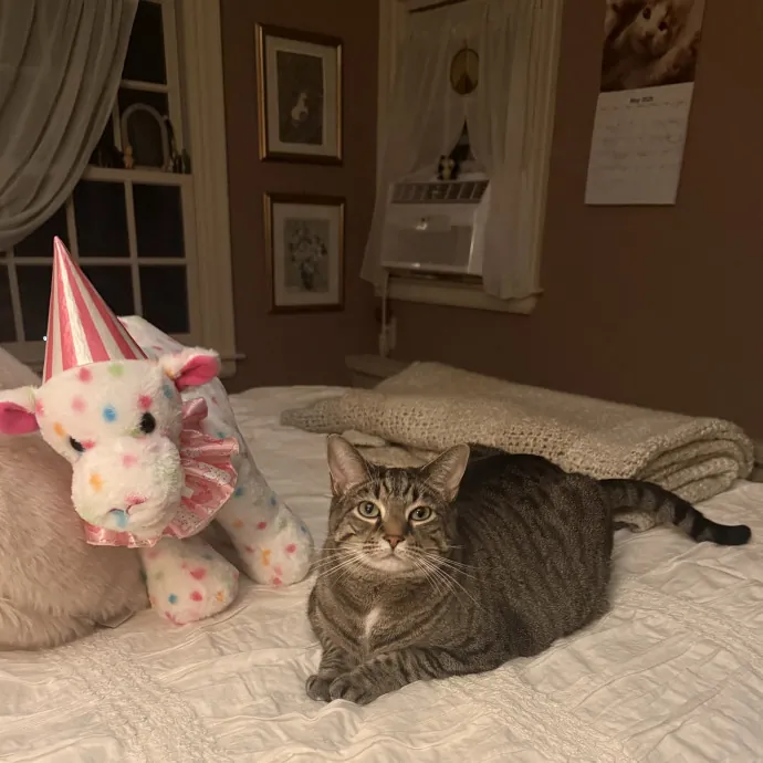 Reliable Cat Care By Sarah