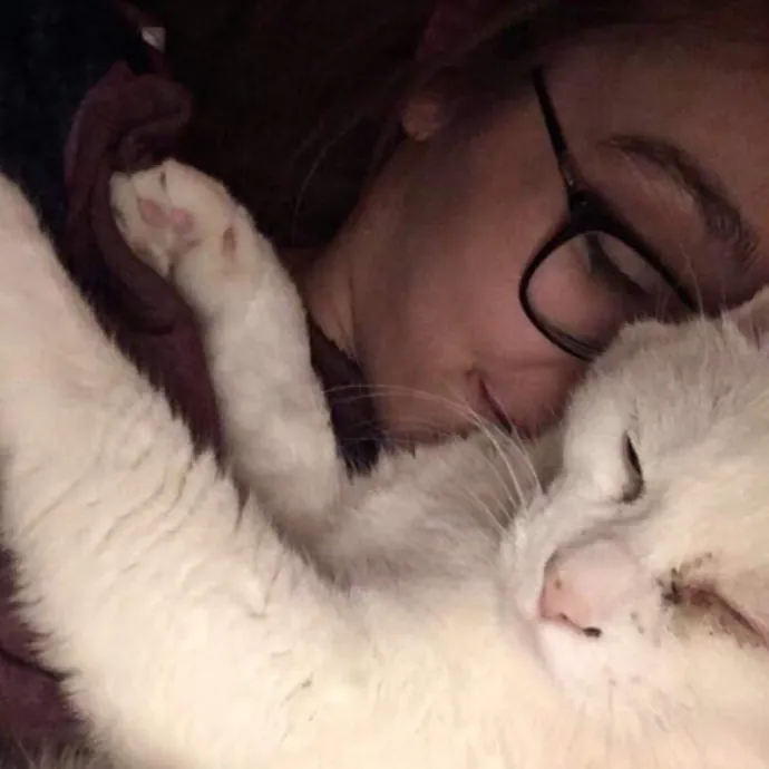 Alaina's Cuddly Cat Care