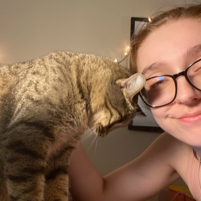 Alaina's Cuddly Cat Care photo 3