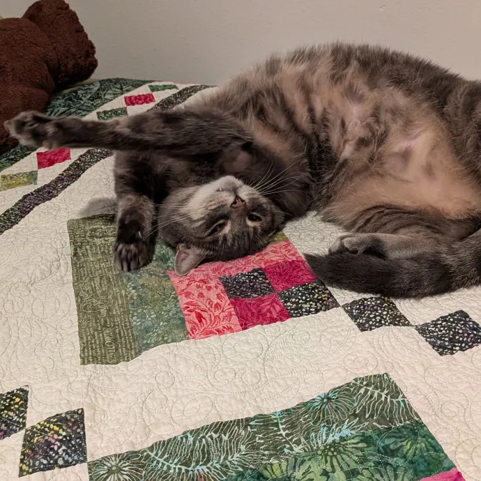 Tell Your Cat I Said Hi