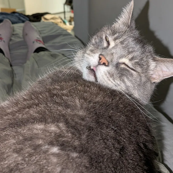 Meg M.