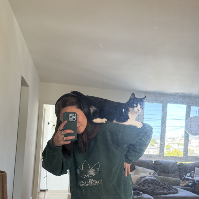 Madi K's Kitty Care