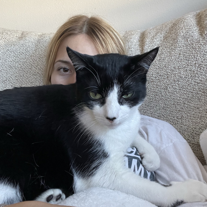 Madi K's Kitty Care