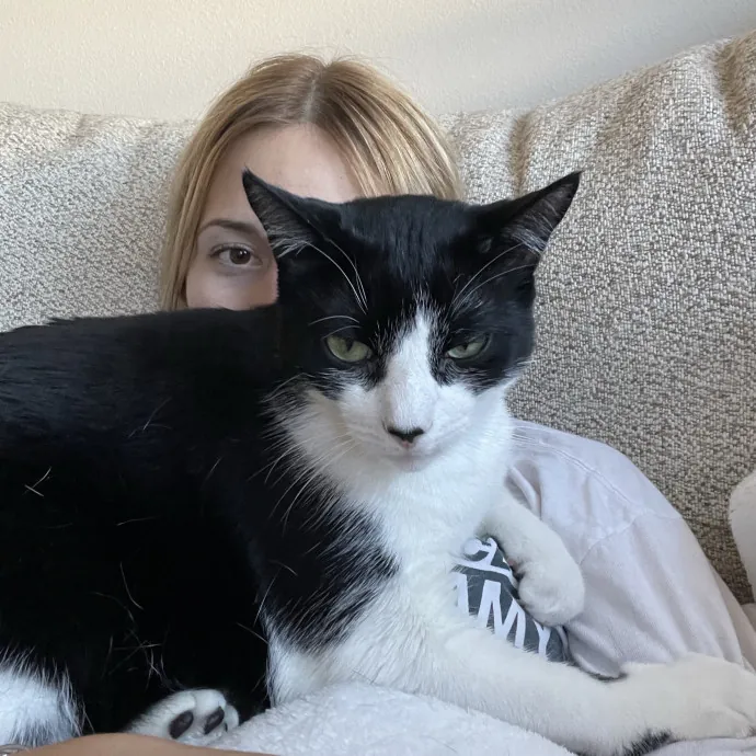 Madi K's Kitty Care