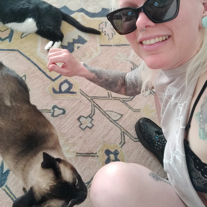 The Egyptians Were Right Cats Are Gods