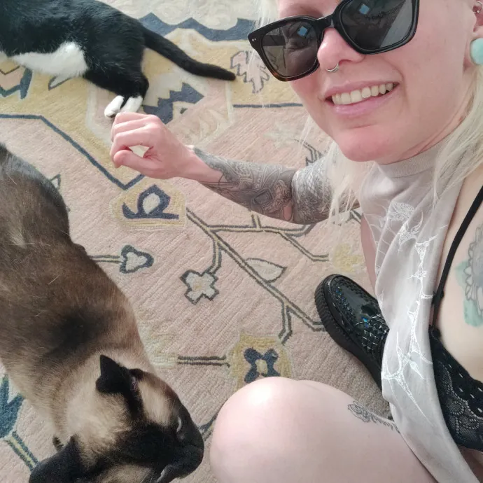 The Egyptians Were Right Cats Are Gods
